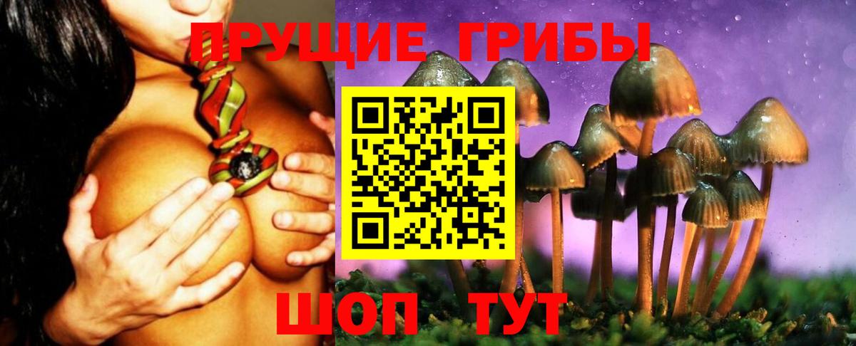 Магадан  Псилоцибиновые грибы ЛСД  Псилоцибиновые грибы Magic Shrooms  Вход с VPN 